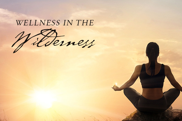 Wellness in the Wilderness | O'Reilly's Rainforest Retreat