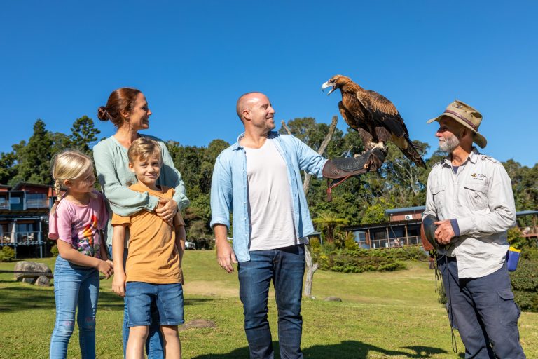 Birds of Prey Show