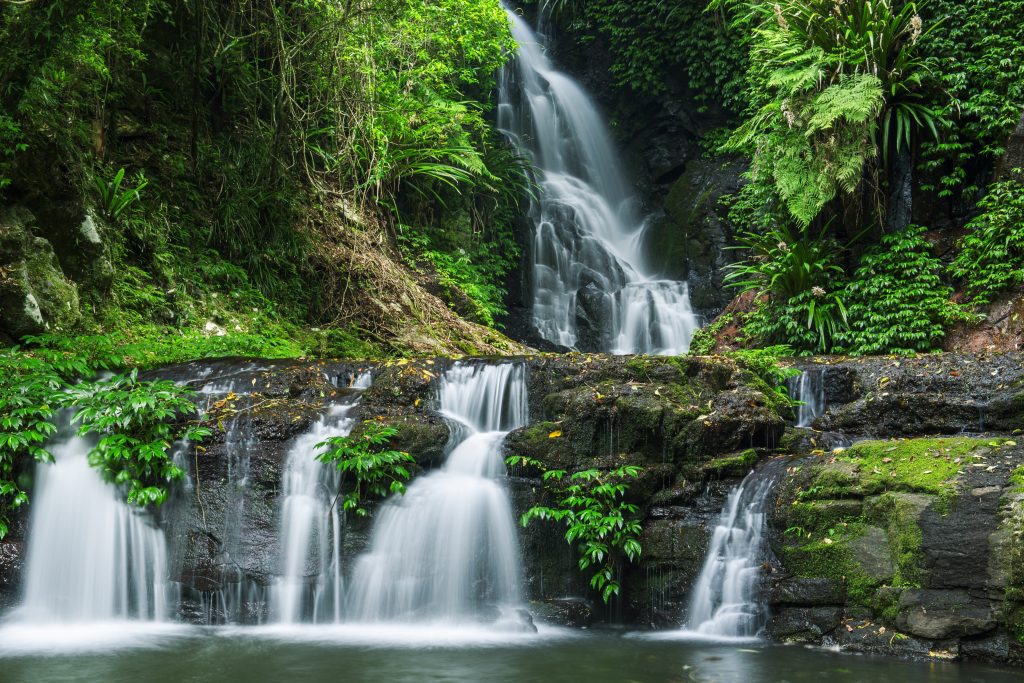 Waterfall In Lamington National Park In Queensland, Australia.