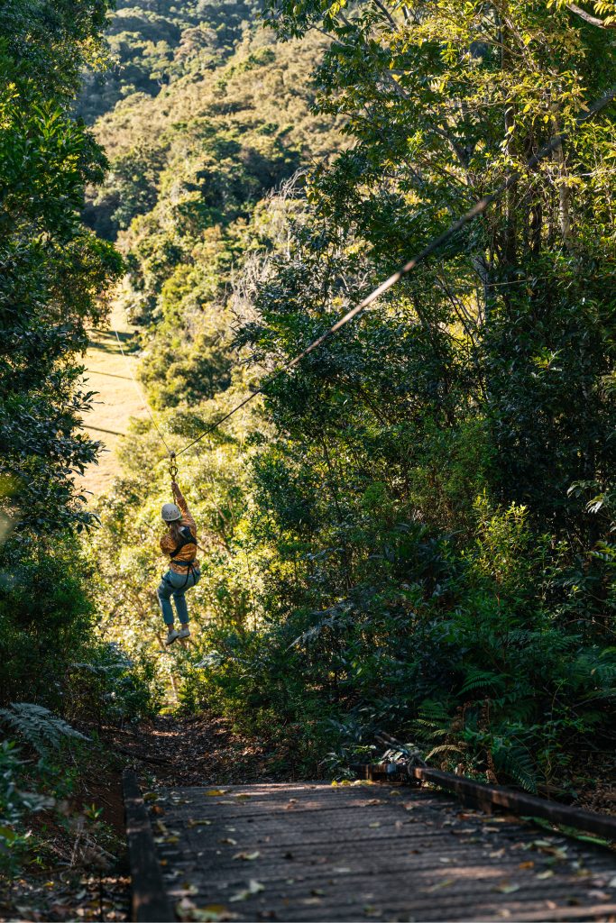 Flying Fox Adventure Teq 1
