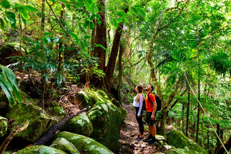 Guided Walks