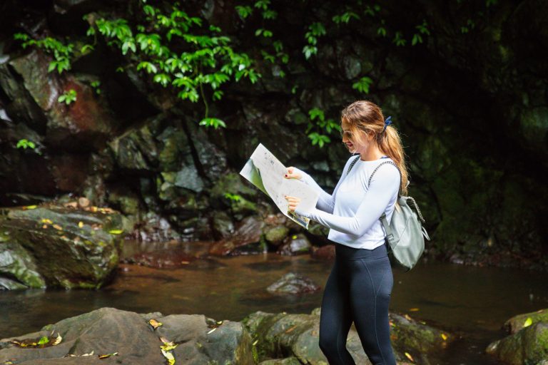 Explore Walking Tracks