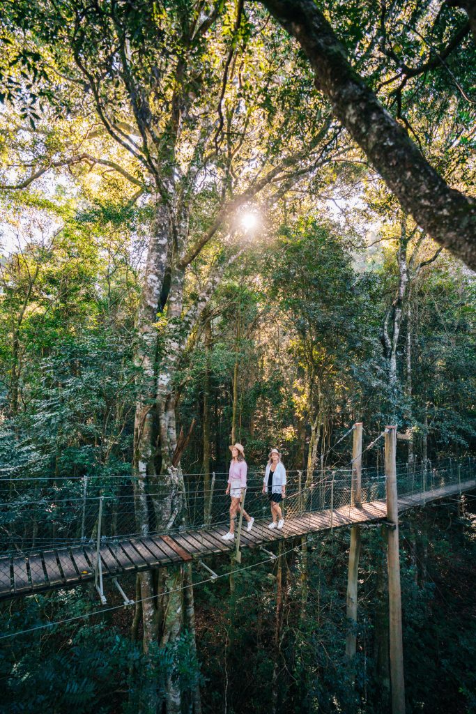 O'reilly's Rainforest Retreat