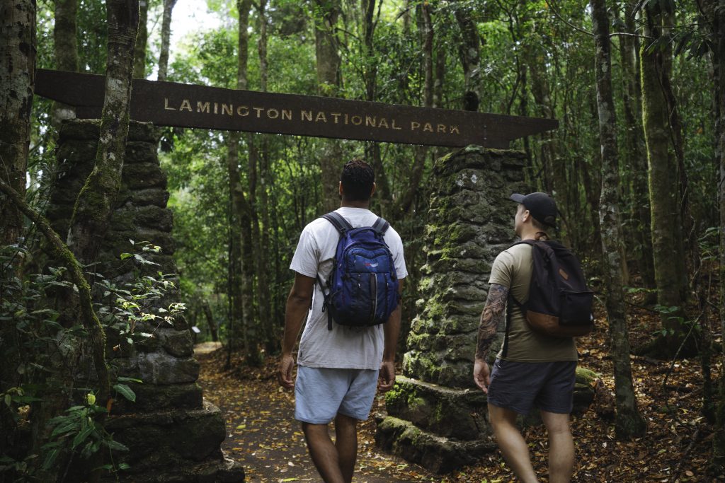 Lamington National Park