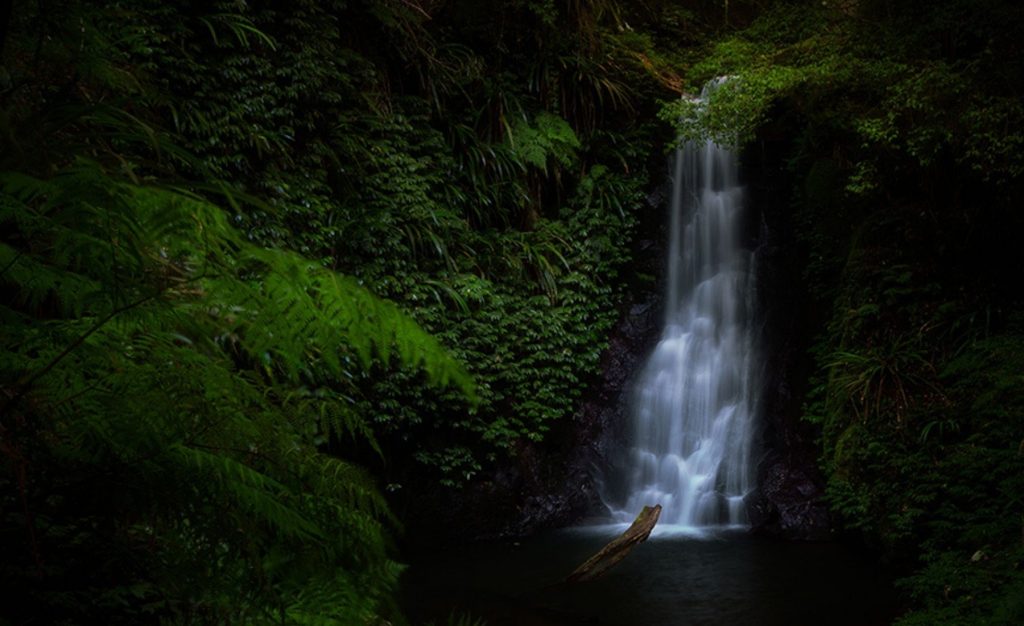 Waterfalls At O'reilly's