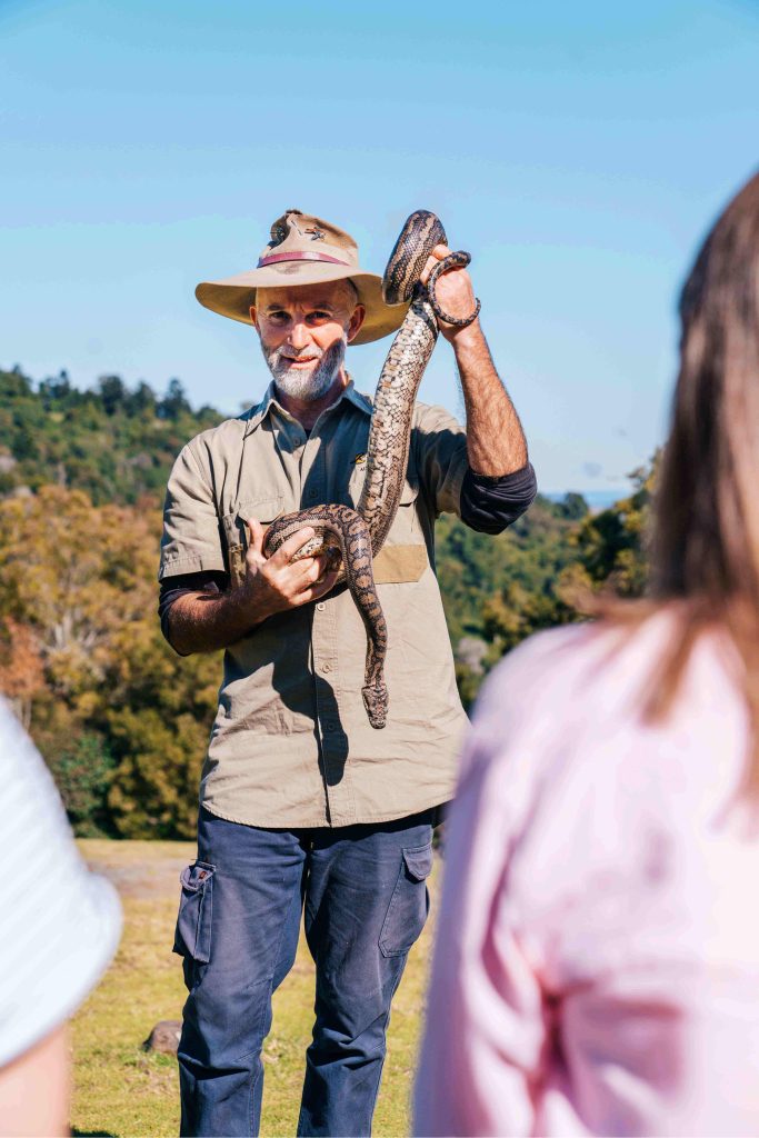 wildlife encounter