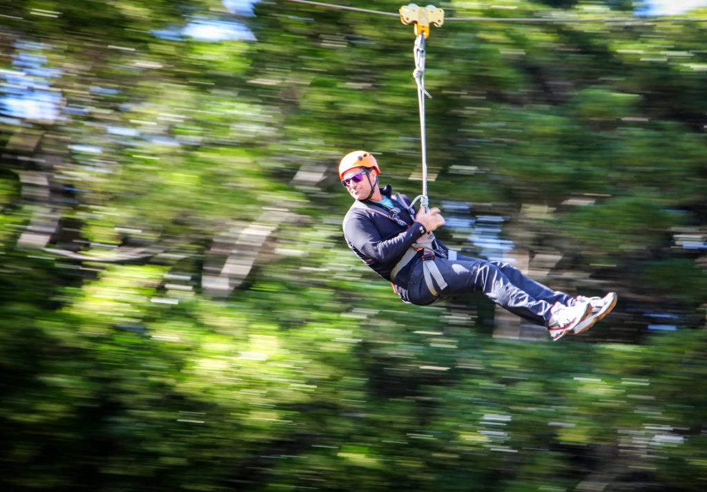 Flying Fox At O'reilly's