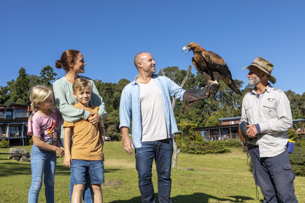 O'reilly's Birds Of Prey Show Ta (1)