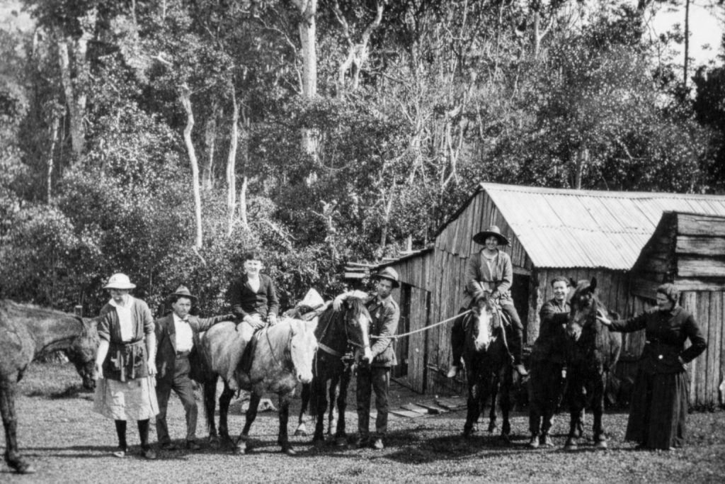 Early Guests With Horses