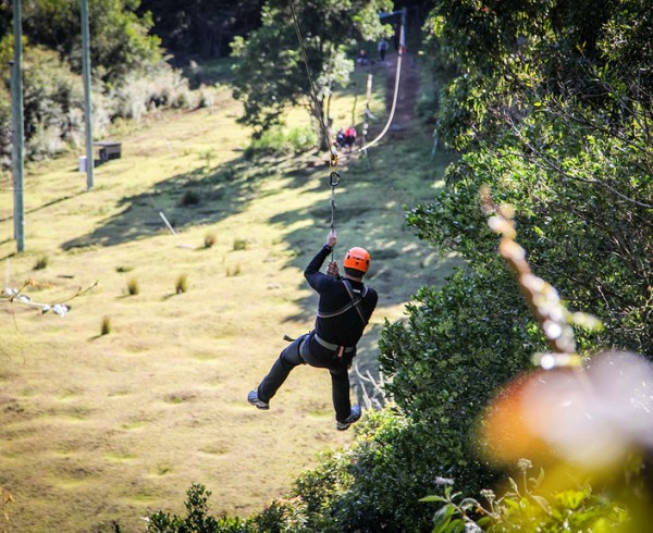 Flying Fox Fun