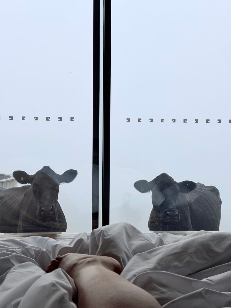Pats Misty Moos Epic Shot