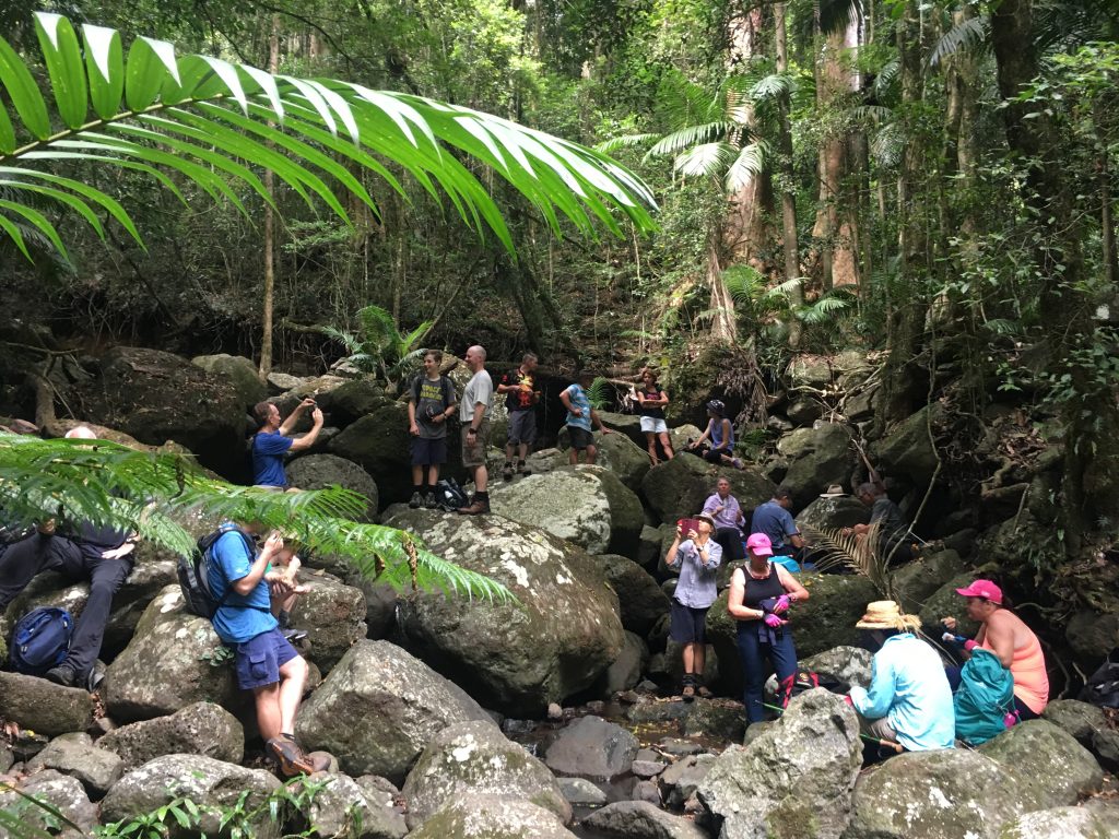 Guided Stinson Walk August