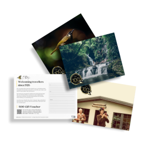 Postcard Mock Ups Transparent Backingv2