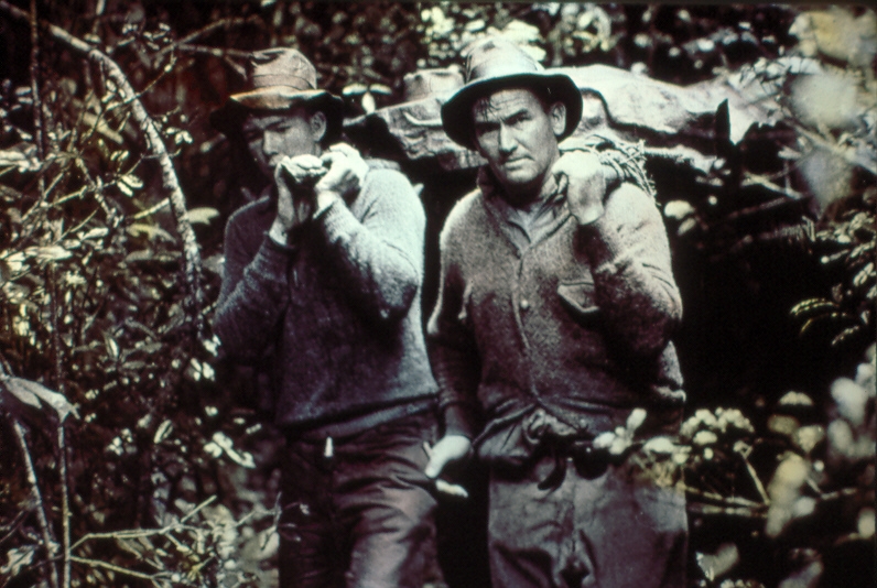 stinson walk history