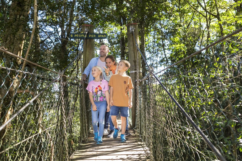 Family Treetop Walk
