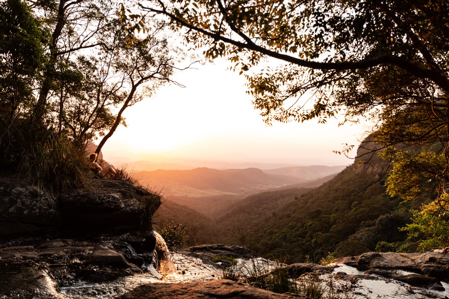 frequently asked questions o'reilly's rainforest retreat