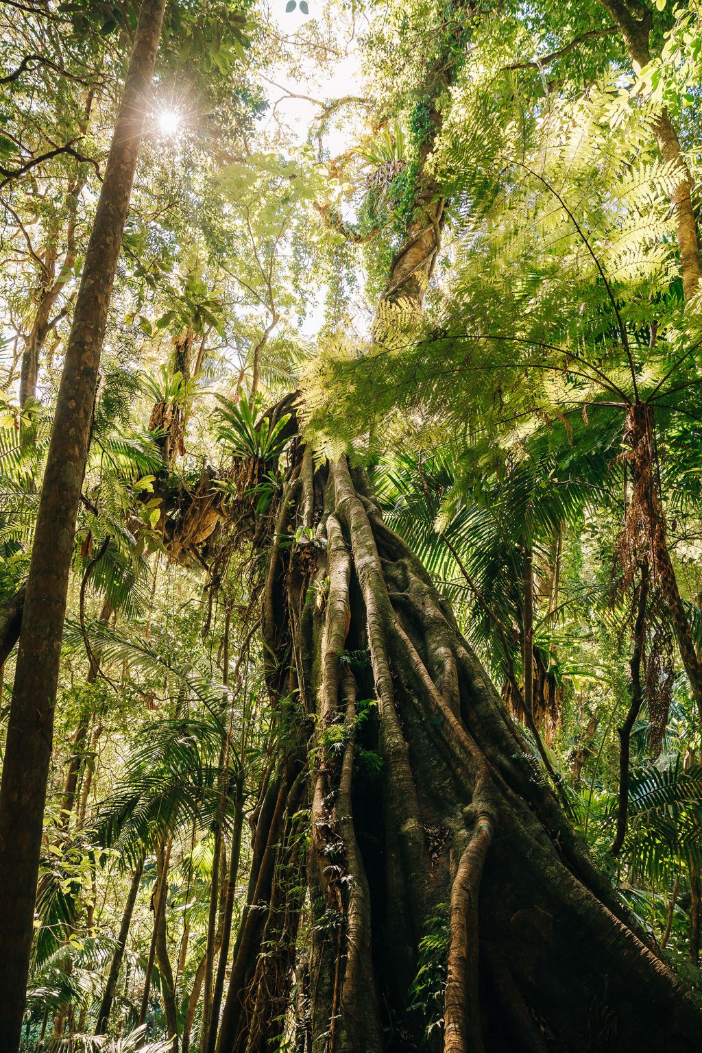 sustainability and environment
