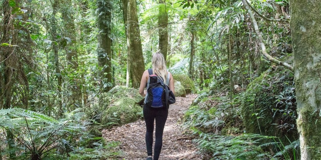 Wellness Weekend Gallery Trails