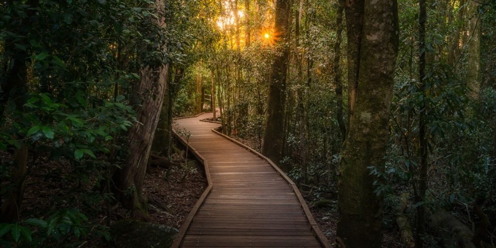 Wellness Weekend Gallery Walking Trailsj.pg