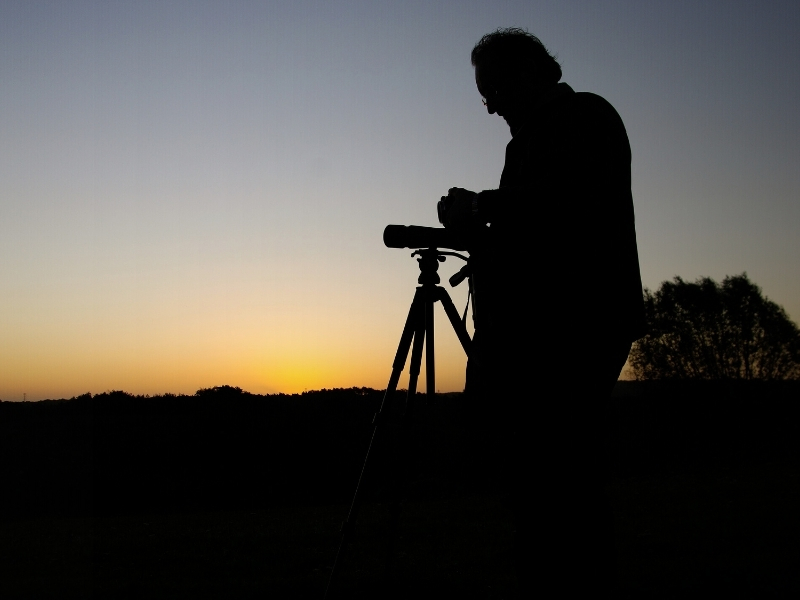 Twitcher At Dusk