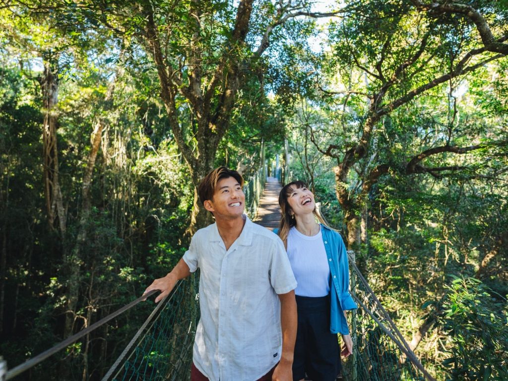 Stay Savour Summer Explore Treetops